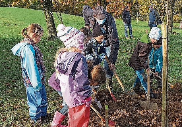 Schon seit Jahren eine Tradition - Erstlässerinnen und Erstklässer pflanzen, mit Unterstützung, einen Obstbaum,Fotos: S. van riemsdijk