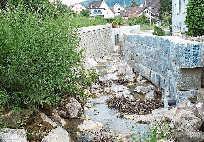 Das Weiherbächli in «friedlichem Zustand» anlässlich der Einweihung des richtungsweisenden Bauwerks.Fotos: W. Wenger
