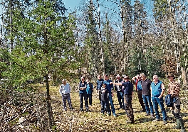 Dani Wenk orientiert über die zukünftige Waldentwicklung. Wo noch vor Tagen unzählige Buchen standen, dominiert jetzt das Sonnenlicht.Foto: zvg