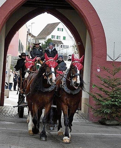 Einfahrt durchs Törli.