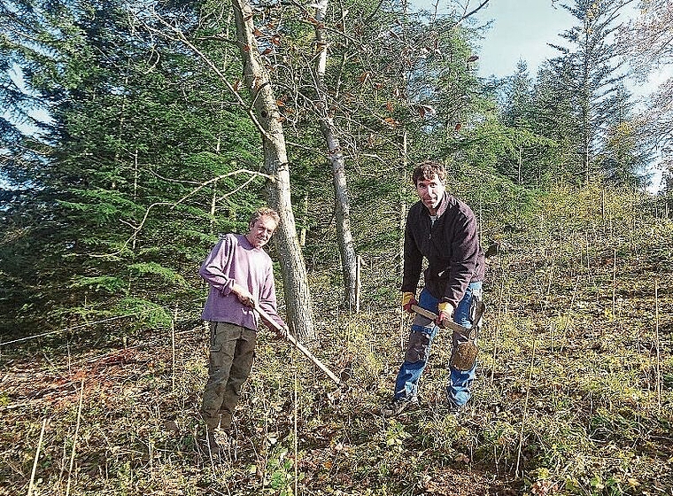 Urs Schaub, Revierförster und Dominik Lüscher von der Naturschutzkommission. Foto: zvg