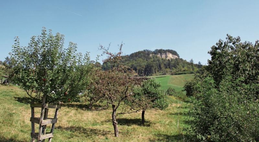 Obstbäume unter der Sissacher Fluh: Der mögliche Naturpark-Perimeter umfasst 56 Gemeinden.Fotos: M. Schaffner