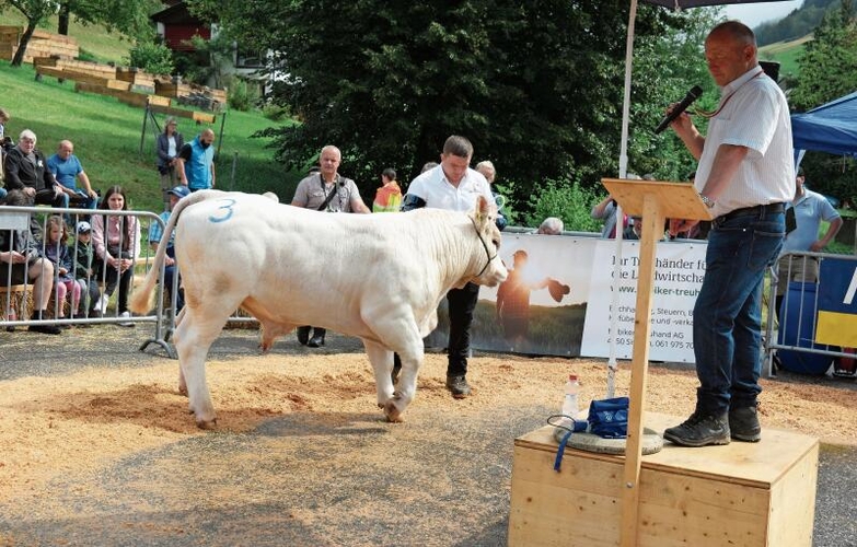 Diesen jungen Charolais-Stier vermittelte Gantrufer Andreas Aebi (r.) 
         
         
            an einen neuen Besitzer.