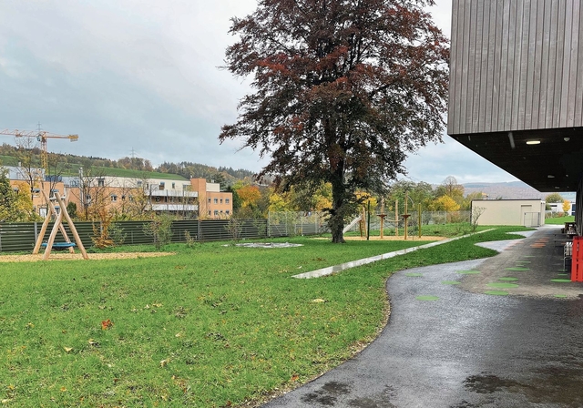Der grosszügige Aussenbereich mit einem tollen Spielplatz.
