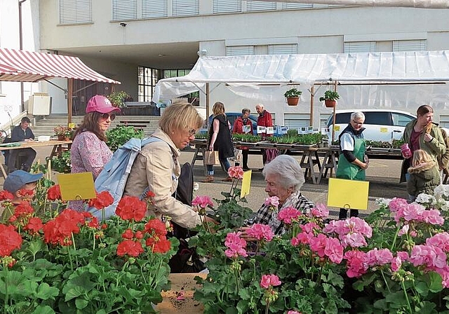 Der Marktbesuch als blumiges Erlebnis.
