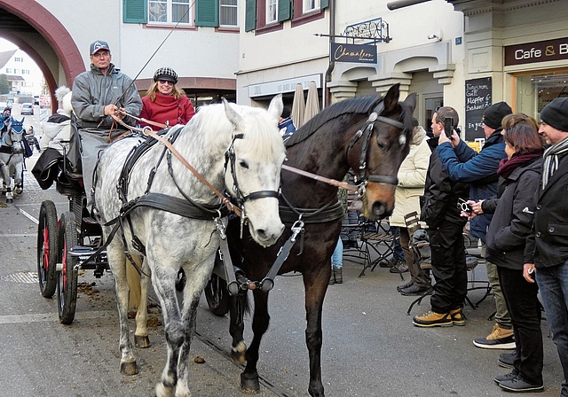 Einfahrt durchs Törli. Das Stedtli gehört jetzt den Pferden. Fotos: U. Fluri