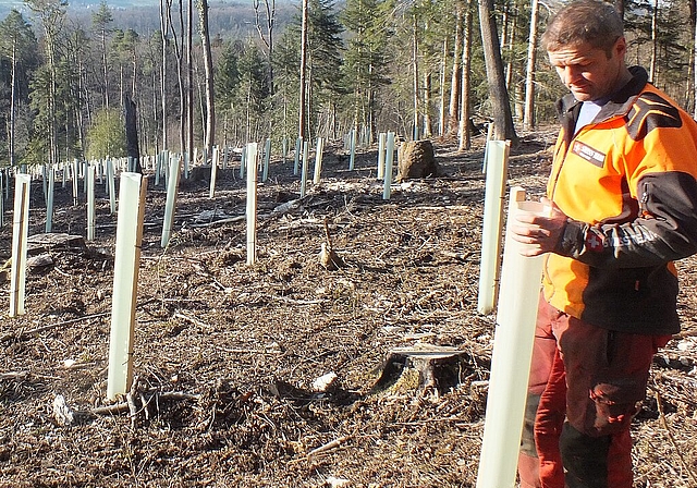 Revierförster Balz Recher leistete mit seinem Team einen wertvollen Einsatz zum Erhalt des Waldes. Fotos: W. Wenger