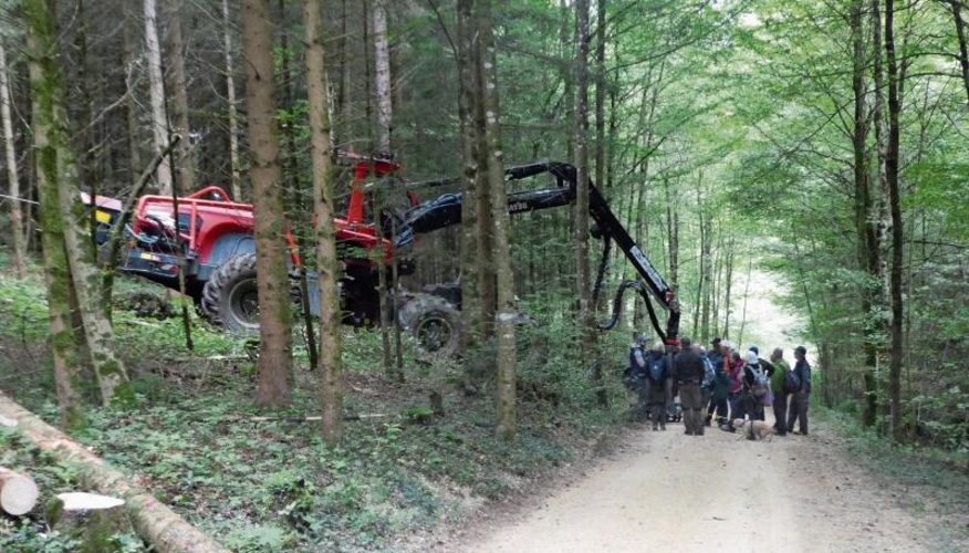 Demonstration einer grossen Forstmaschine.