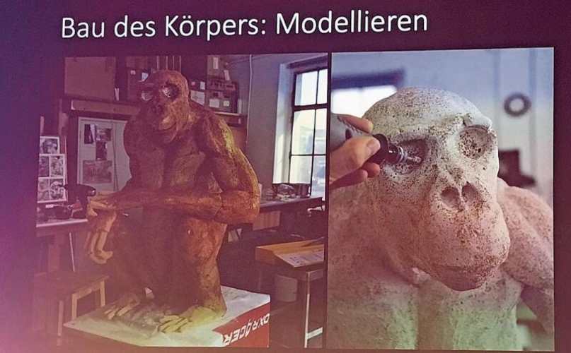 Bilder von der Arbeit am Präparat eines Menschenaffen. Das Modellieren ist ein zentraler Schritt beim Bau des Körpers, welcher dann am Ende mit der Originalhaut des toten Tiers überzogen wird.  Fotos: M. Stöcklin