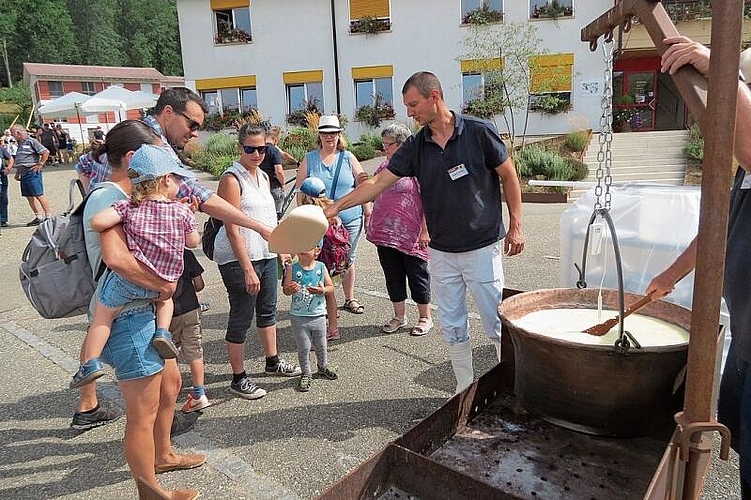 Selber Käse machen war für viele Familien so richtig spannend. Fotos: s. van riemsdijk
