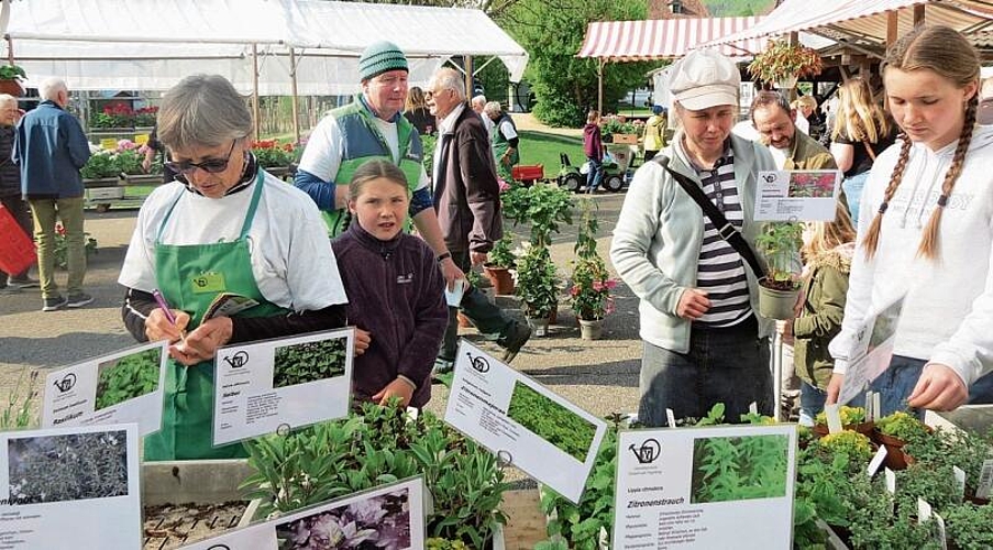 Sich für die richtige Auswahl an Blumen und Pflanzen bei einer solchen Blumenpracht zu entscheiden, war nicht immer einfach. Fotos: s. van riemsdijk
