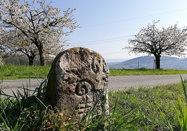 Grenzstein zu Frenkendorf. Fotos: zVg
