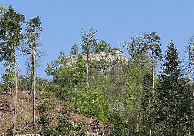 Die Ruine Neu-Schauenburg wird von immer mehr Grün eingerahmt. Fotos: B. Eglin
