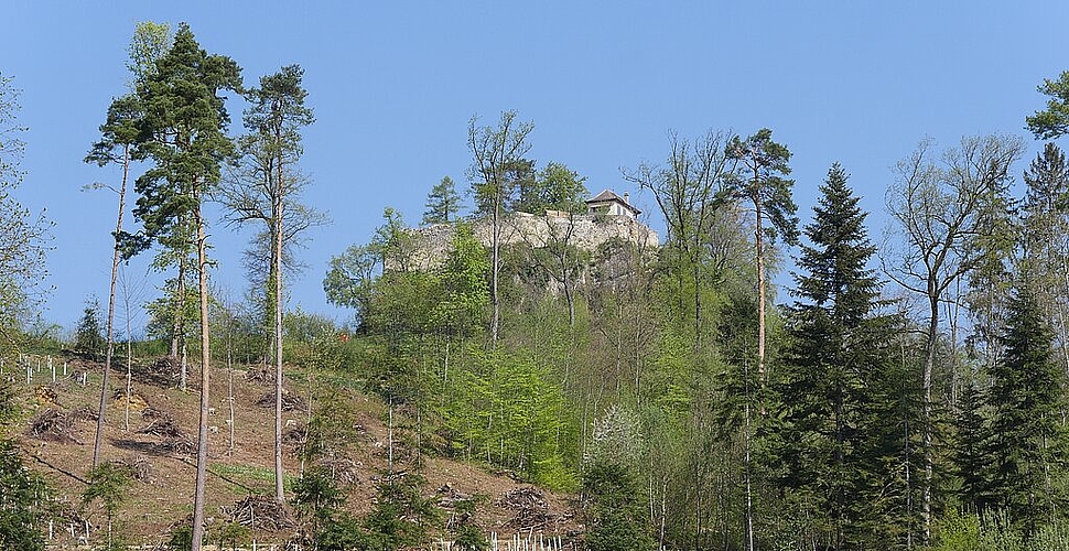 Die Ruine Neu-Schauenburg wird von immer mehr Grün eingerahmt. Fotos: B. Eglin
