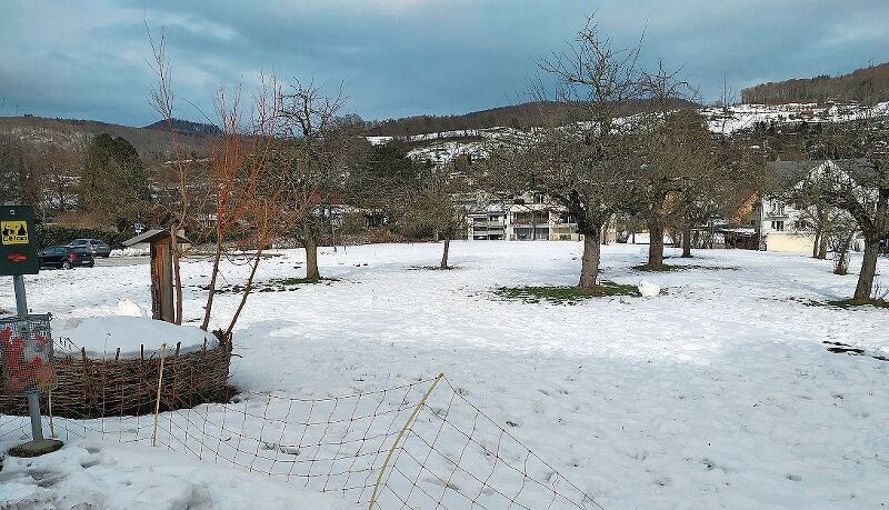 Gegenüber der Dorfschule neben dem Friedhof am Gottesackerweg ist der Neubau der Dreifachsporthalle geplant.Fotos: S. van Riemsdijk
