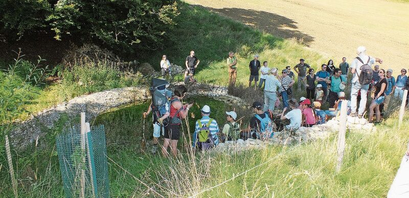 Einer von sieben Amphibienweihern, die der NVF angelegt hat.Fotos: U. Roth