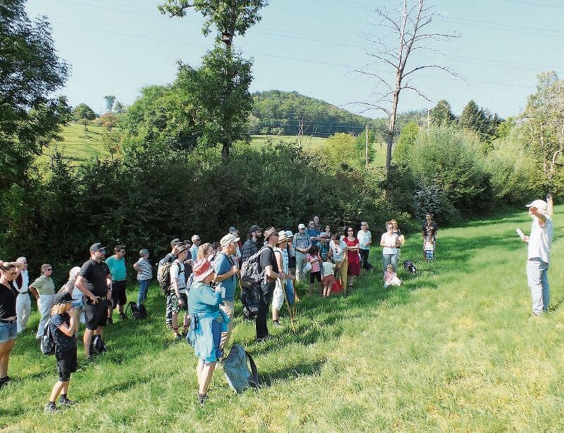 Im Naturschutzgebiet Risch, das der NVF angelegt hat und hegt und pflegt.