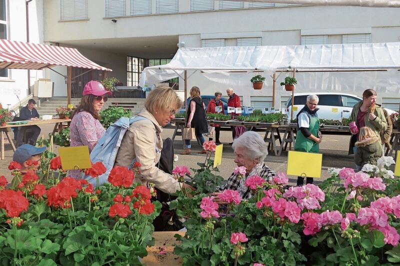 Der Marktbesuch als blumiges Erlebnis.
