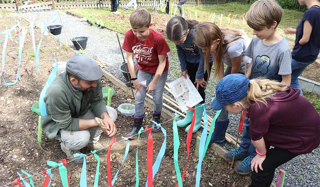 Ein Betreuer der «GemüseAckerdemie» zeigt den Schülerinnen und Schülern, wo es zwischen Babyleaves-Salat und Radieschen noch Platz hat, um Bohnen zu setzen.