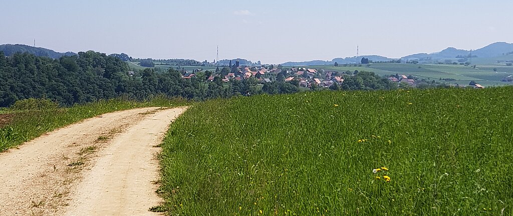 Das nächste Ziel Wenslingen ist in Sicht, zuerst geht es aber nochmals zünftig ins Tal hinab.
